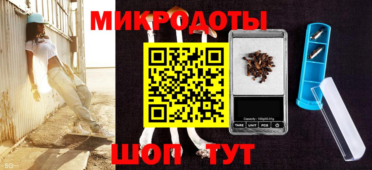 закладки  Вход с VPN  Елабуга  Галлюциногенные грибы Magic Shrooms 